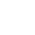 PanAust